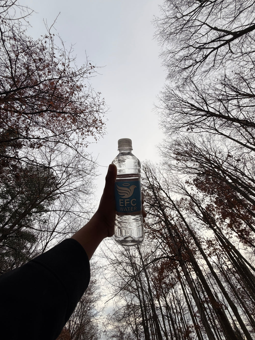 EFC Water Premium Bottled Water – 5 Case Bundle (120 Bottles)