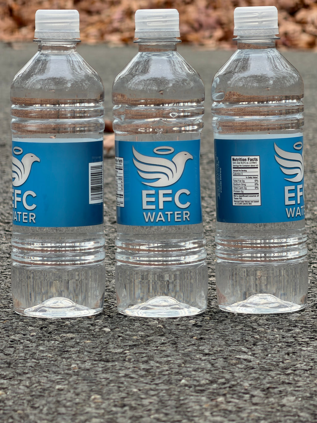 EFC Water Premium Bottled Water – 5 Case Bundle (120 Bottles)