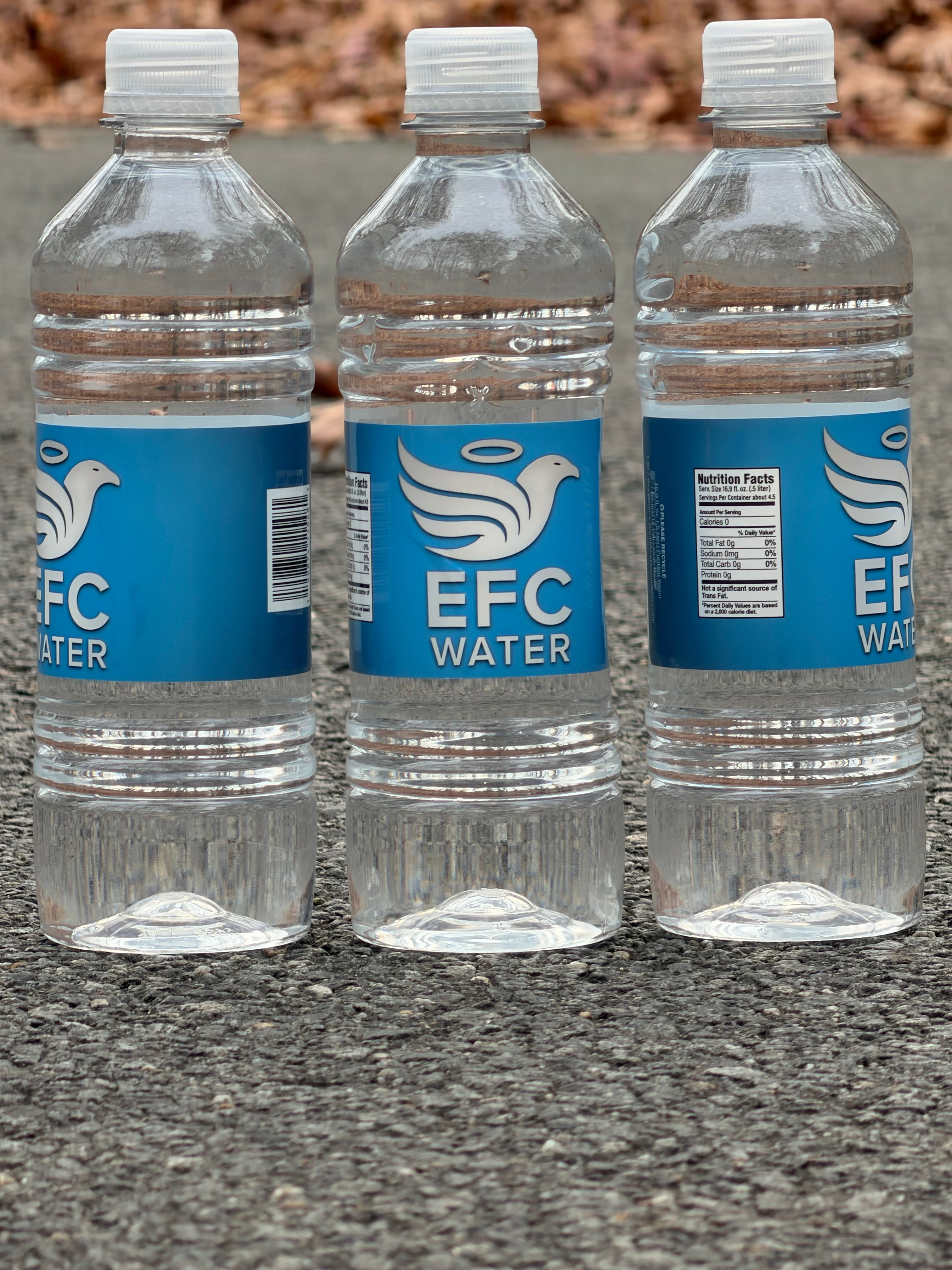 EFC Water Premium Bottled Water – 5 Case Bundle (120 Bottles)